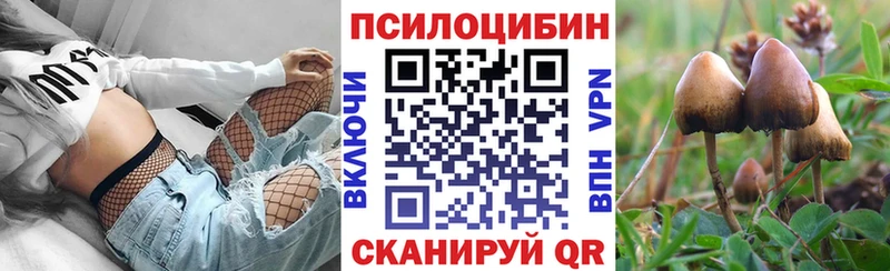 даркнет сайт  Приозерск  Галлюциногенные грибы прущие грибы 